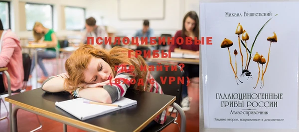 скорость Козловка