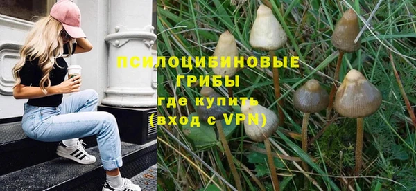 скорость Козловка