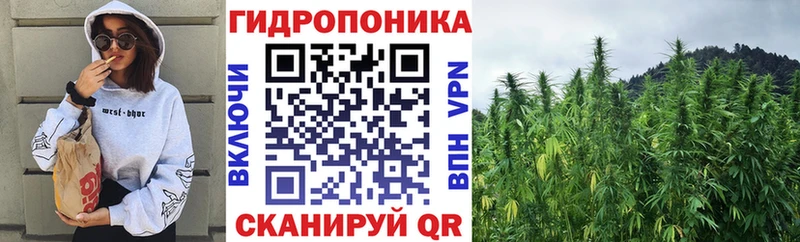 Купить  Нея  Канабис индика 